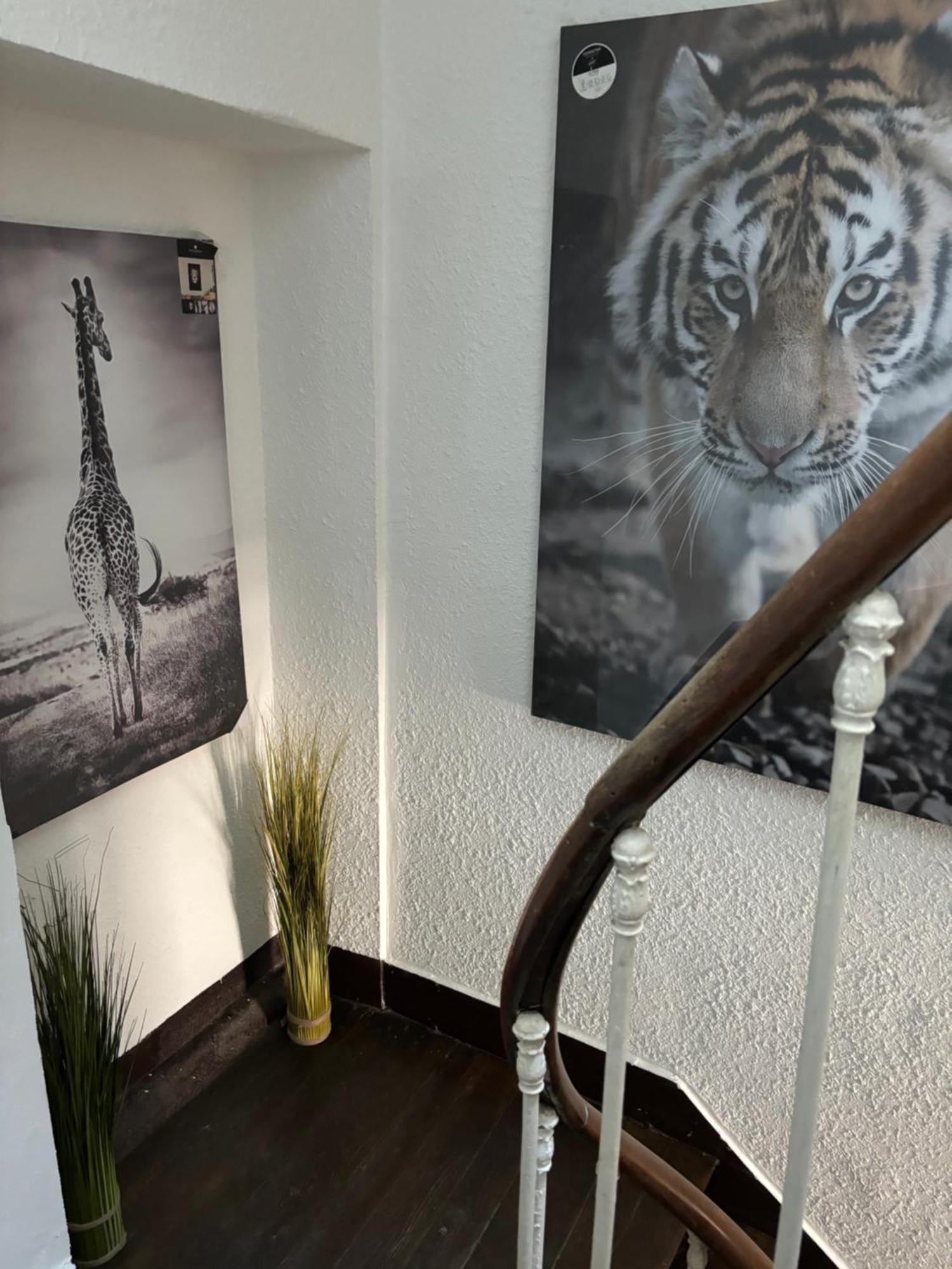 Le Duplex Safari Διαμέρισμα Saint-Aignan  Εξωτερικό φωτογραφία